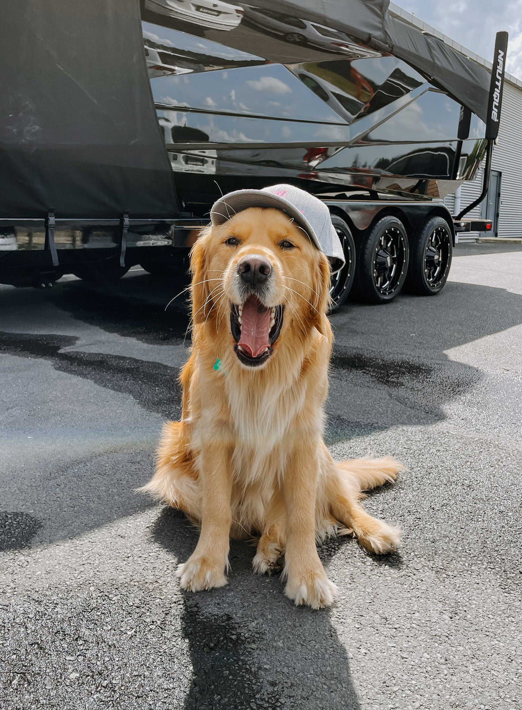 Nautique Ladies Curved Peak Hat Grey/Pink