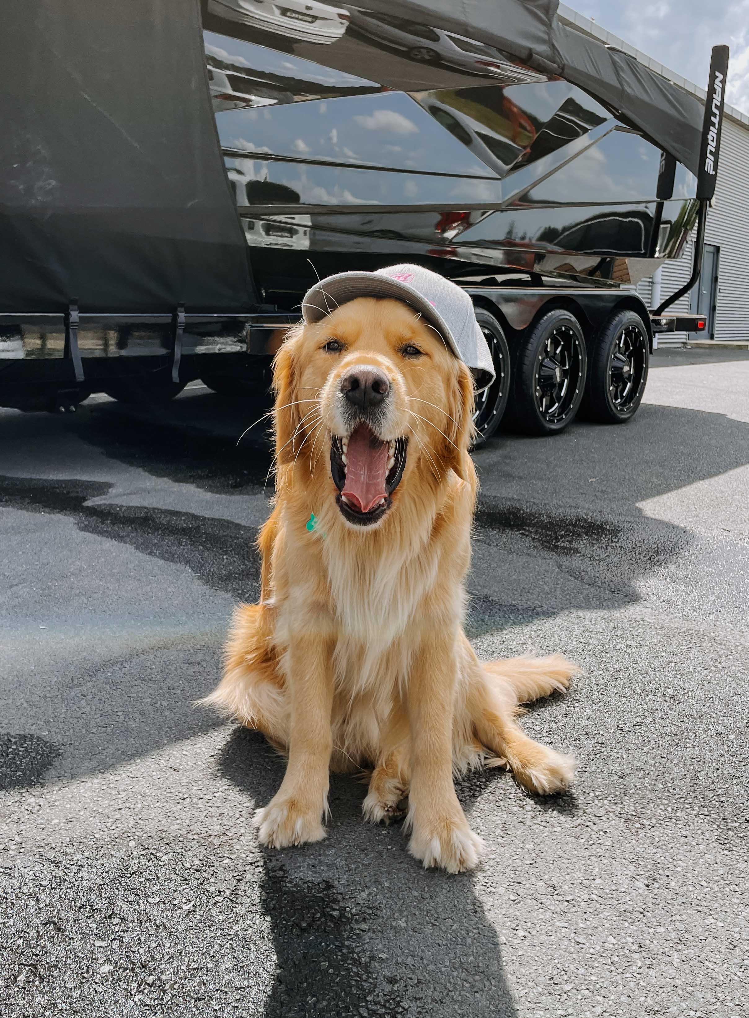 Nautique Ladies Curved Peak Hat Grey/Pink